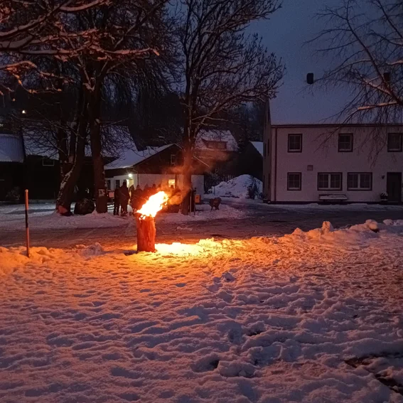 IMG20231202165205.jpg