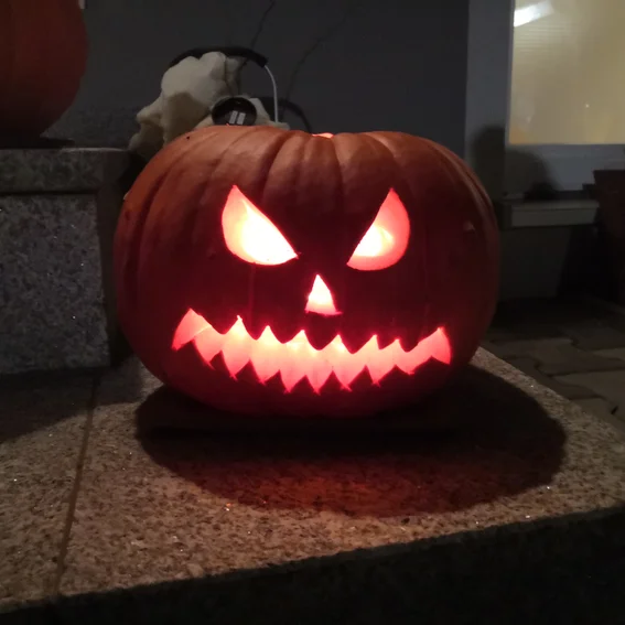 IMG_20211031_194114.jpg