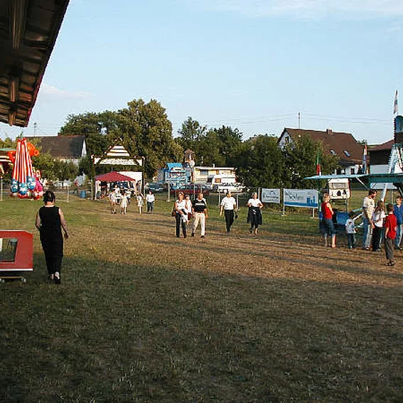 zillgr04.jpg