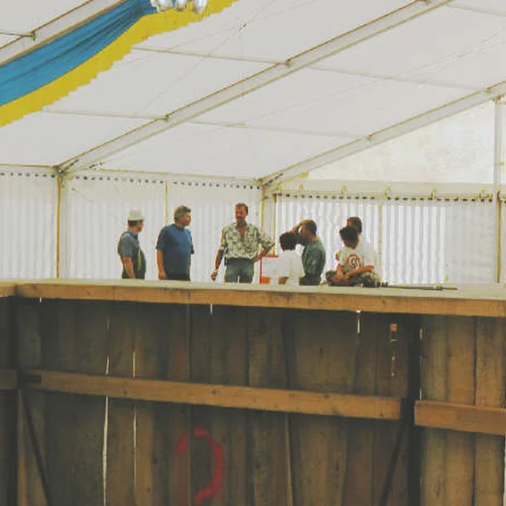audigr04.jpg